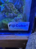 IMG_0300.jpeg