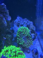 IMG_1019.jpeg
