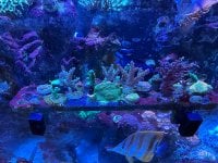 IMG_3506.jpeg