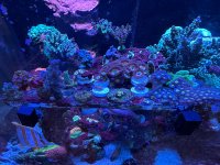 IMG_3507.jpeg