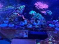 IMG_3508.jpeg