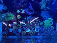 IMG_3512.jpeg