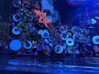 IMG_3516.jpeg