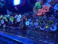 IMG_3517.jpeg