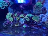 IMG_3518.jpeg
