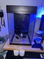 IMG_0323.jpeg