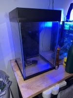 IMG_0325.jpeg