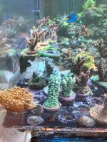 IMG_4482.jpeg