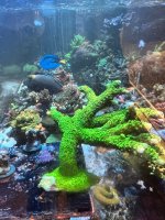 IMG_4481.jpeg