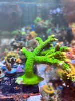 IMG_4480.jpeg