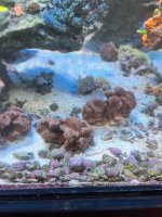 IMG_4483.jpeg