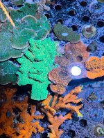IMG_4486.jpeg