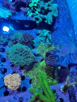 IMG_4491.jpeg