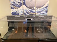 IMG_0425.jpeg