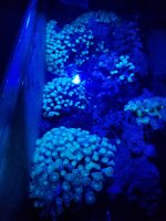 20230914_113907.jpg