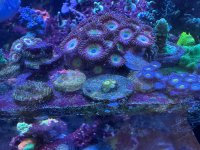 IMG_3907.jpeg