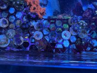 IMG_3908.jpeg