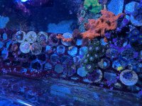 IMG_3909.jpeg