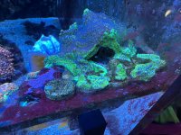 IMG_3511.jpeg