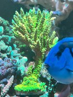 IMG_4632.jpeg