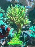 IMG_4629.jpeg