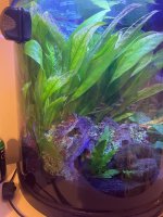 IMG_4066.jpeg