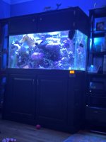 IMG_0615.jpeg IMG_0615.jpeg