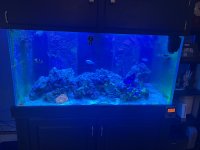 IMG_0658.jpeg IMG_0658.jpeg