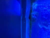 IMG_0660.jpeg IMG_0660.jpeg