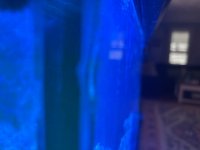 IMG_0659.jpeg IMG_0659.jpeg