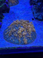IMG_1776.jpeg