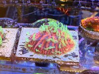 IMG_4613.JPG