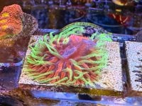 IMG_4614.JPG
