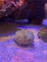 IMG_3467.jpeg