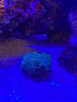 IMG_3466.jpeg