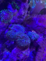 IMG_3468.jpeg