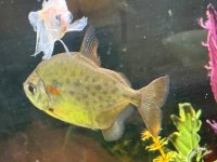 IMG_5704.jpeg