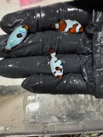 IMG_0465.jpeg