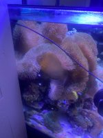 IMG_3471.jpeg