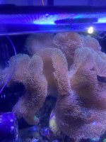 IMG_3469.jpeg