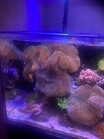 IMG_3480.jpeg