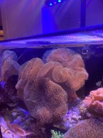 IMG_3462.jpeg