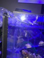 IMG_7812.jpeg