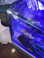 IMG_7811.jpeg