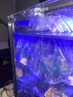 IMG_7810.jpeg
