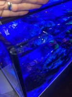 IMG_7809.jpeg