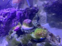 IMG_9438.jpeg