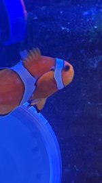 IMG_6144.jpeg