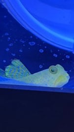 IMG_6142.jpeg