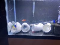 IMG_9423.jpeg